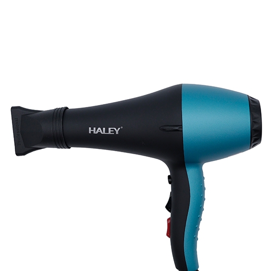 Վարսահարդարիչ Haley HY-4020 
