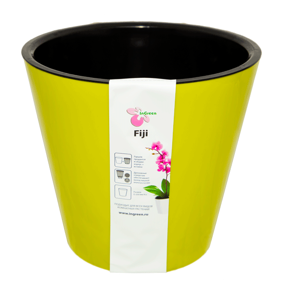 Ծաղկաման Fiji ING1554 