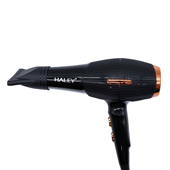 Վարսահարդարիչ Haley HY-4015 
