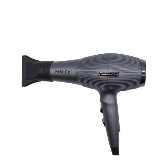 Վարսահարդարիչ Haley HY-4013 
